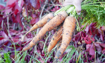 Similar image 21345612