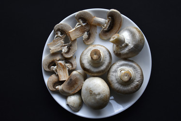 Similar image 21366164