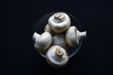 Similar image 21366165