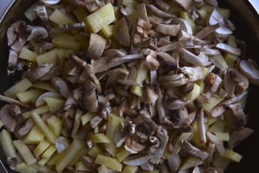 Similar image 21365929