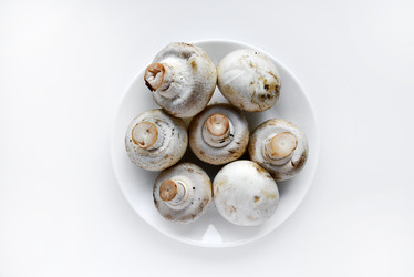 Similar image 21365930