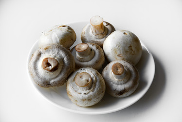 Similar image 21365931