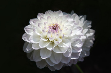 Similar image 21350329