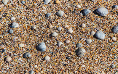 Similar image 21370762