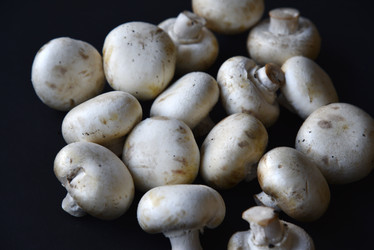 Similar image 21343497