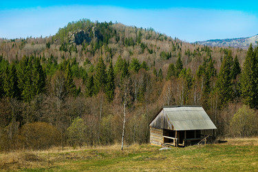 Similar image 21350066