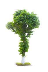 Similar image 21350106