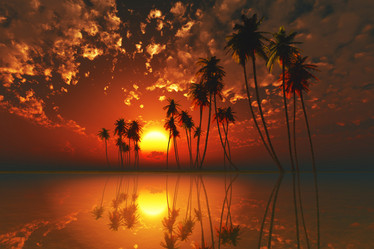 Similar image 21377813