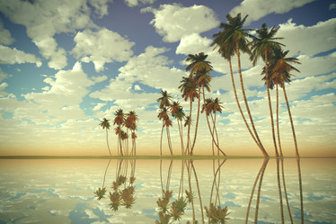 Similar image 21377817