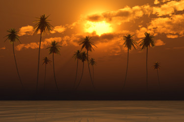 Similar image 21377824