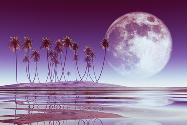 Similar image 21377793