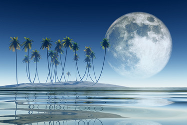 Similar image 21377836