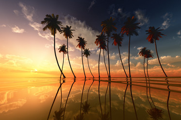 Similar image 21377837