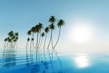 Similar image 21378438