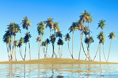 Similar image 21378440