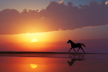 Similar image 21378472