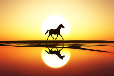 Similar image 21378474