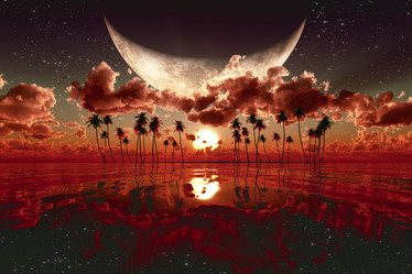 Similar image 21378508