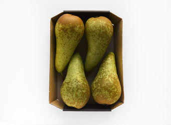 Similar image 21348528