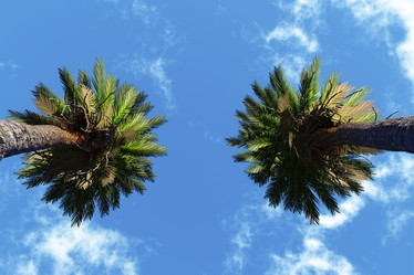 Similar image 21378183