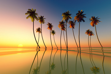 Similar image 21378593