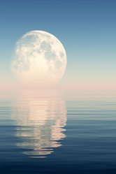 Similar image 21378594