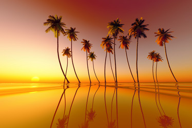 Similar image 21378225