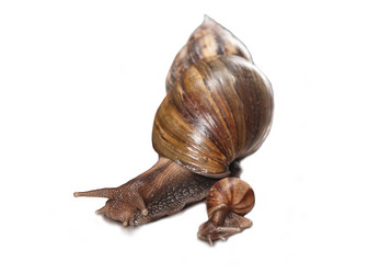 Similar image 21370793