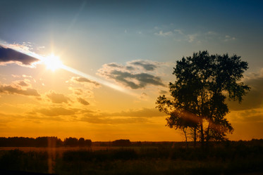 Similar image 21350768