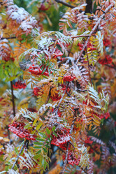 Similar image 21366396