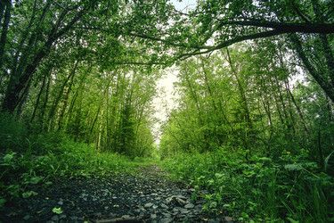 Similar image 21366397