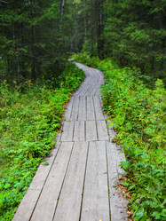 Similar image 21370581