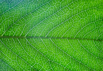 Similar image 21370583