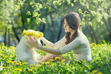 Similar image 21377897