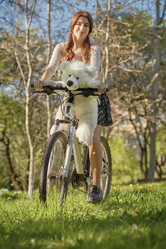 Similar image 21377904