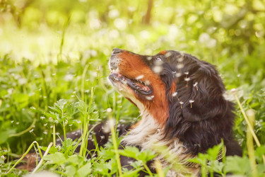 Similar image 21377949