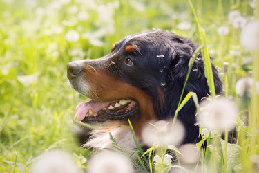 Similar image 21377951