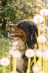 Similar image 21377957