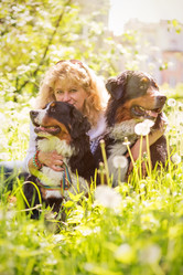 Similar image 21377961