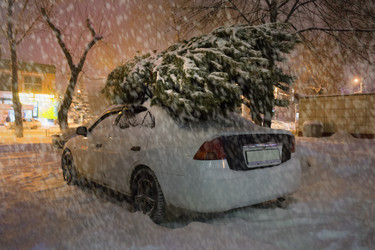 Similar image 21350465