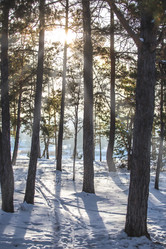 Similar image 21350469