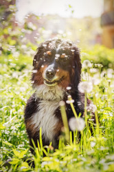 Similar image 21378124