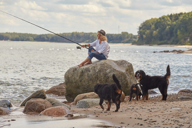 Similar image 21378157