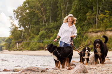 Similar image 21378161