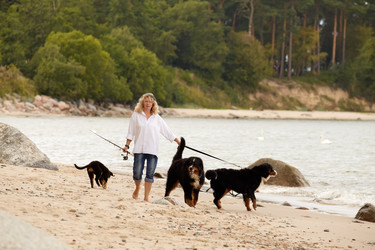 Similar image 21378166