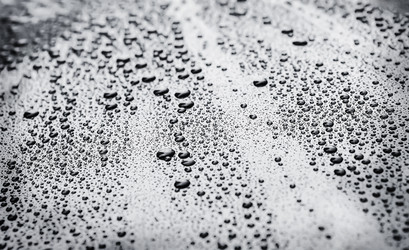 Similar image 21370804