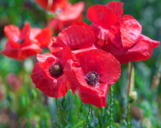 Similar image 21370806