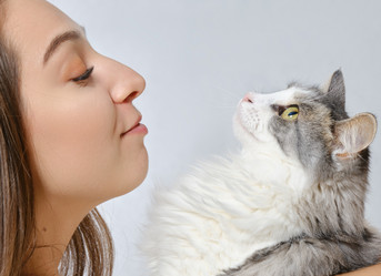 Similar image 21378710