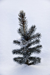 Similar image 21365938