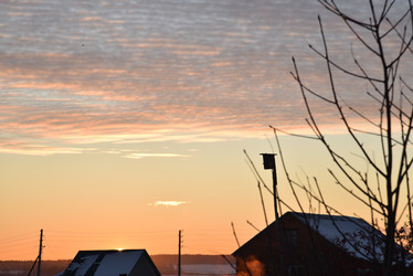 Similar image 21343505